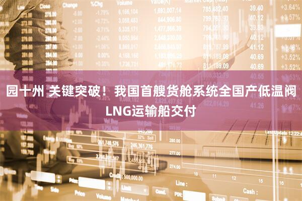 园十州 关键突破!我国首艘货舱系统全国产低温阀LNG运输船交付