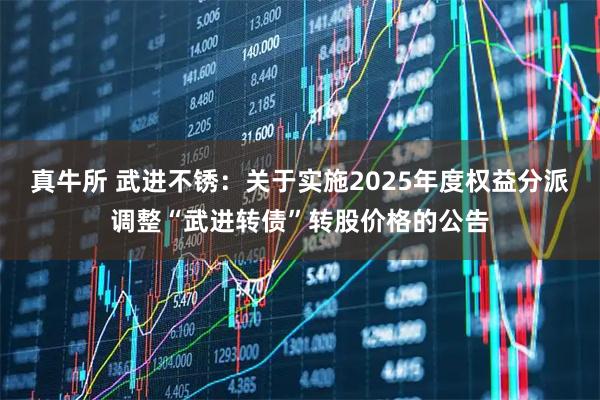 真牛所 武进不锈：关于实施2025年度权益分派调整“武进转债”转股价格的公告