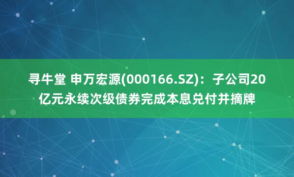 寻牛堂 申万宏源(000166.SZ)：子公司20亿元永续次级债券完成本息兑付并摘牌