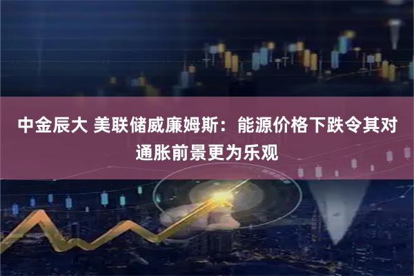 中金辰大 美联储威廉姆斯：能源价格下跌令其对通胀前景更为乐观